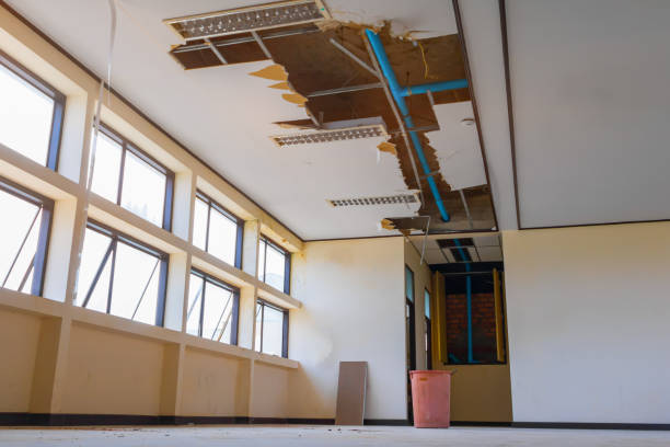Best Water damage contractors near me  in Hazlehurst, GA