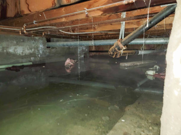 Best 24-hour water damage restoration  in Hazlehurst, GA