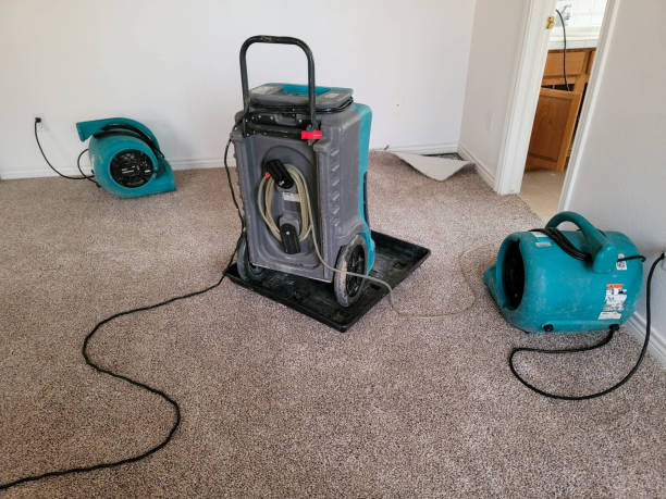 Best 24-hour water damage restoration  in Hazlehurst, GA