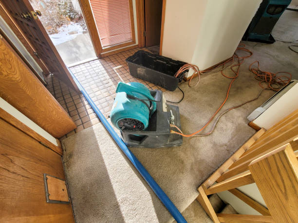 Trusted Hazlehurst, GA Water damage restoration Experts