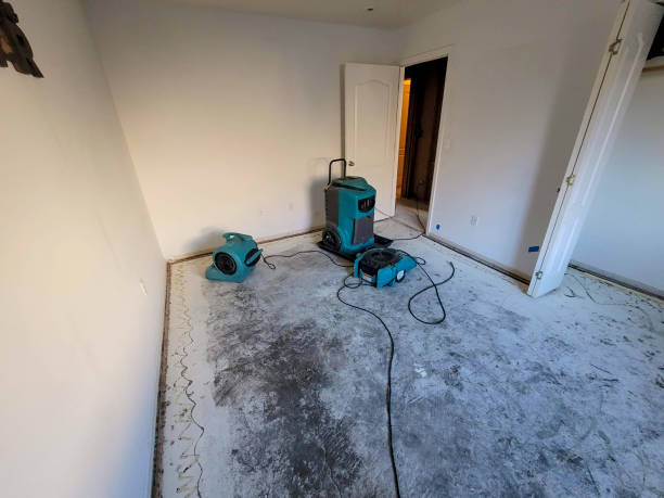 Best Water damage restoration near me  in Hazlehurst, GA