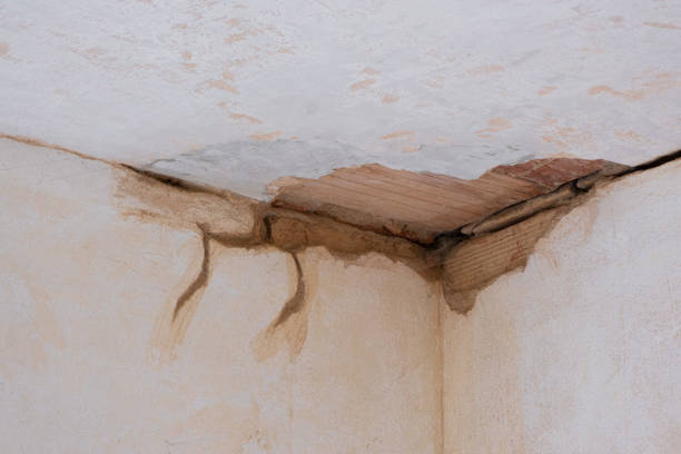 Best Flood damage cleanup  in Hazlehurst, GA