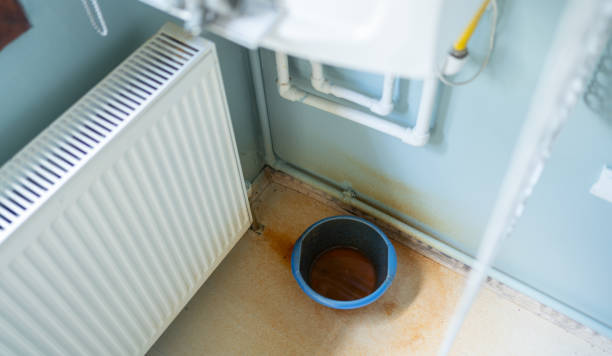 Best Ceiling water damage repair  in Hazlehurst, GA