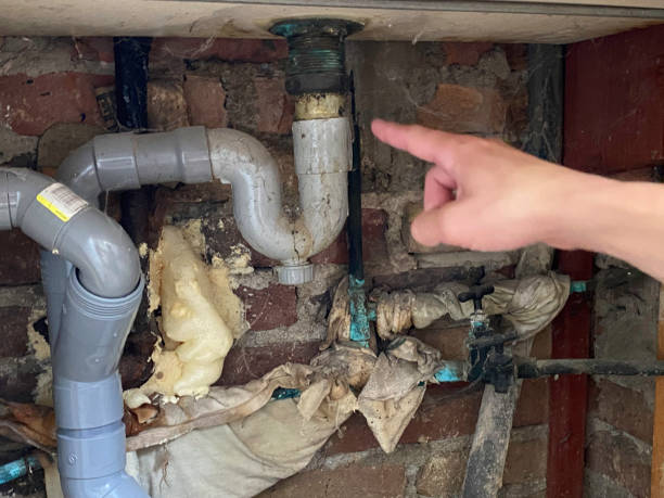 Best Flooded house restoration  in Hazlehurst, GA